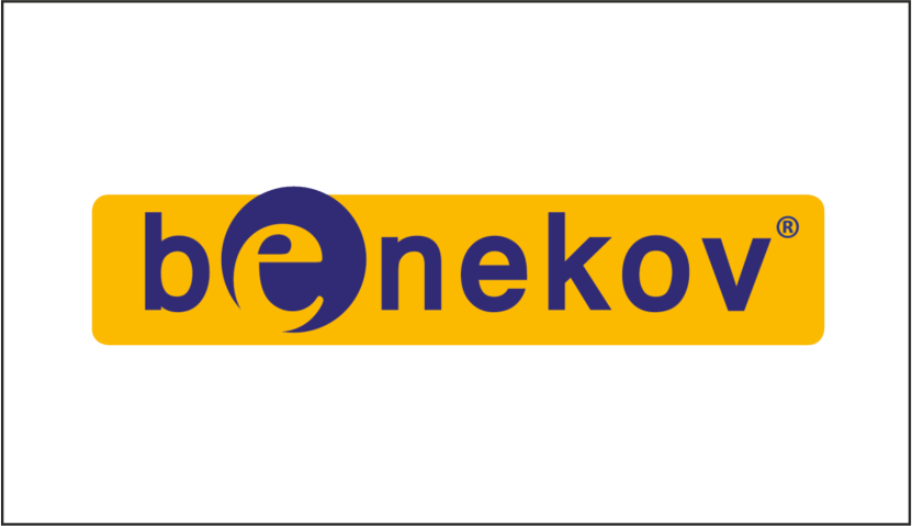 Logo PellasX - producent palnikow na pellet